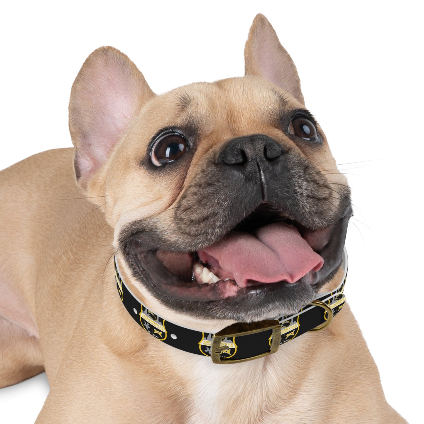 Dog Collar